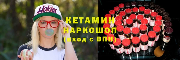 твердый Ленинск