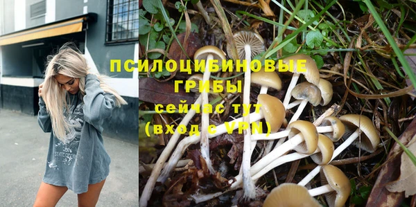 кокаин Новозыбков